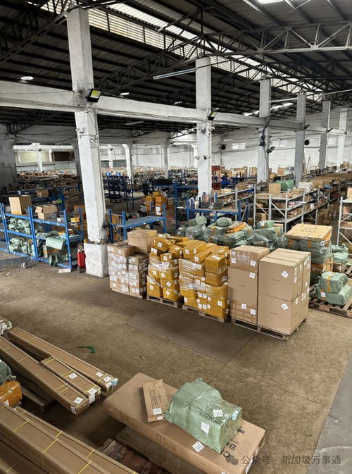 一站式物流解決方案 中國(guó)至新加坡低價(jià)海運(yùn)、空運(yùn)及貨物倉儲(chǔ)服務(wù)